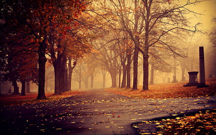 autumn, fall, fog, haze, landscapes, leaves, mist, nature, park, path, pathway, seasons, sidewalk, trees, HD wallpaper