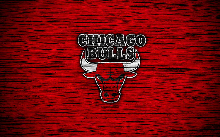 Basketbol, ​​Chicago Bulls, Logo, NBA, HD masaüstü duvar kağıdı