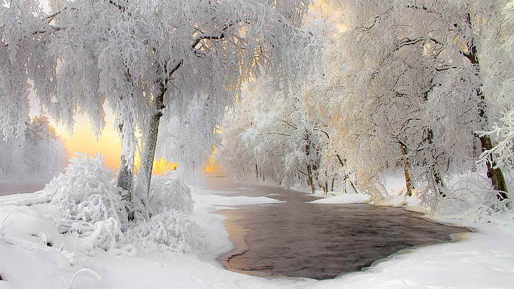 фотография, Финландия, сняг, лед, пейзаж, HD тапет