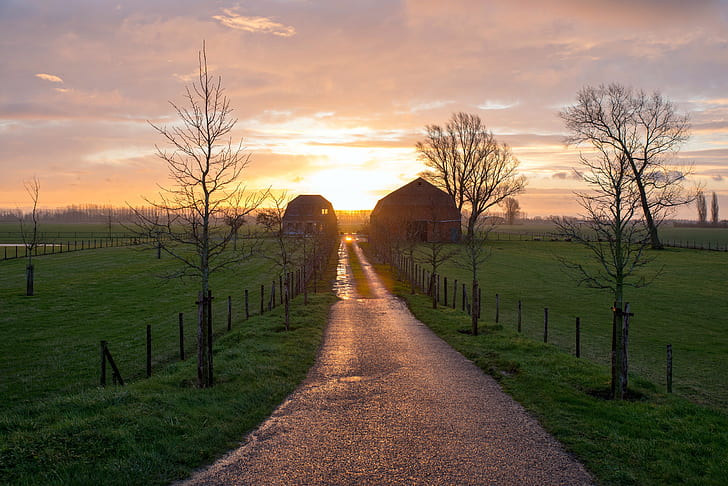 road, morning, farm, HD wallpaper