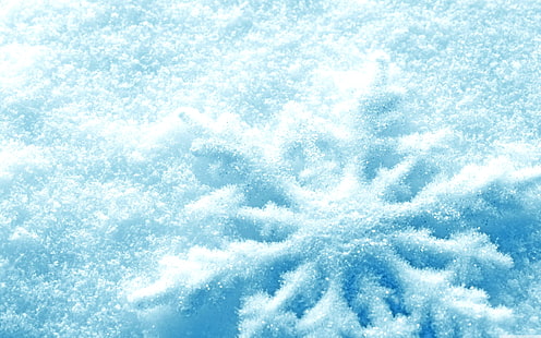 campo de neve branco, sem título, natureza, inverno, neve, flocos de neve, macro, HD papel de parede HD wallpaper