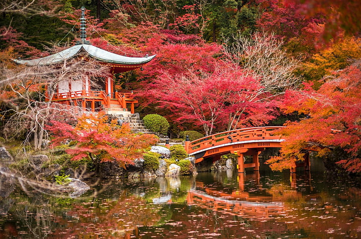 Tempel, Daigo-ji, Bro, Lövverk, Japan, Japansk trädgård, Kyoto, Natur, Pagod, Park, Damm, Helgedom, Träd, HD tapet