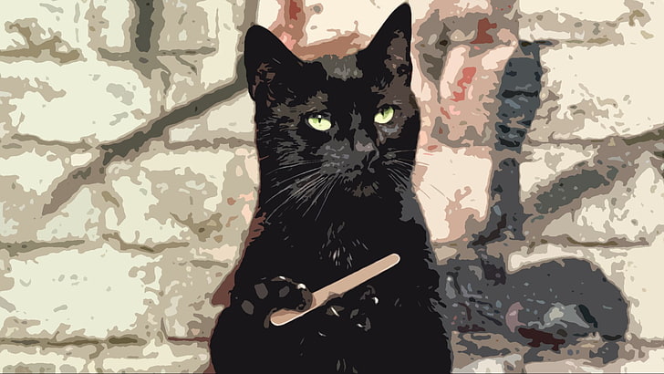 lukisan kucing hitam, kucing, kucing hitam, hewan, humor, Wallpaper HD