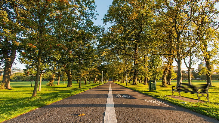 ścieżka rowerowa, asfalt, jesień, park, ławka, drzewo, chodnik, chodnik, chodnik, trawa, Tapety HD