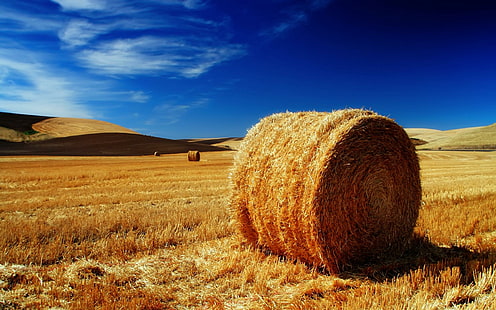 Die Palouse Fields, braune Heuhaufenrolle, Felder, Palouse, Natur und Landschaft, HD-Hintergrundbild HD wallpaper