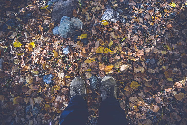 autumn, autumn leaves, dry leaves, fall, feet, forest, ground, nature, outdoors, shoes, HD wallpaper