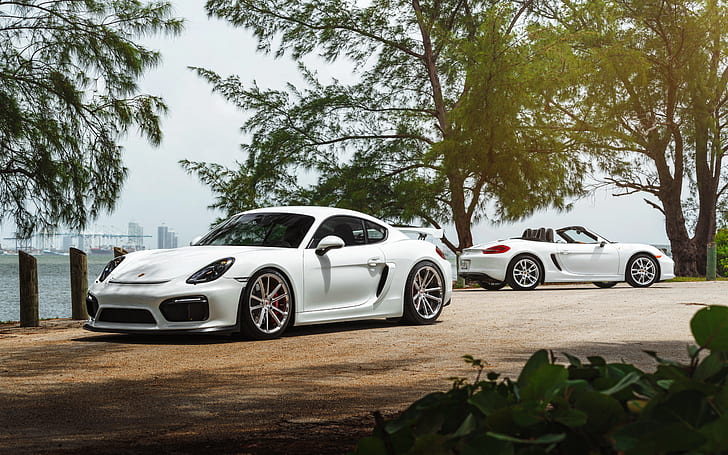 car, Porsche, White, roadster, William Stern, cayman GT4, HD wallpaper