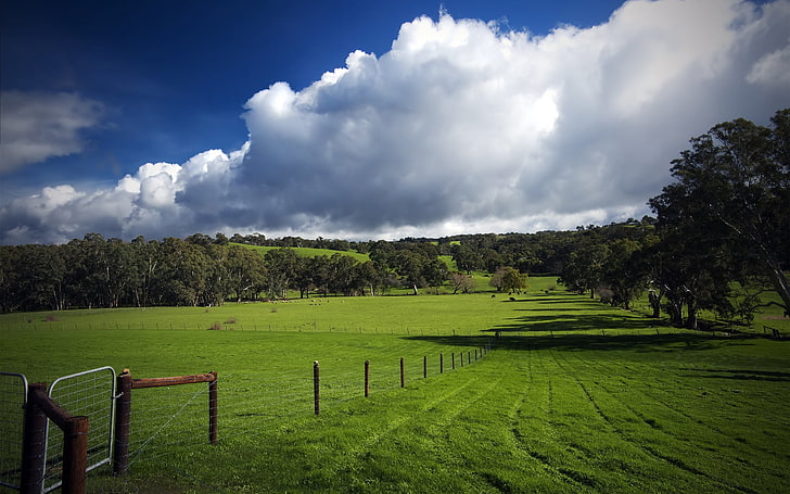 green grass, field, fence, pasture, traces, greens, grass, clouds, HD wallpaper