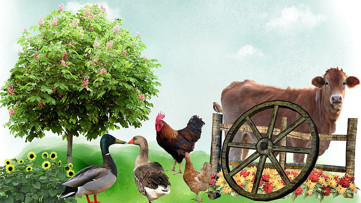 Spaß auf dem Bauernhof, Hahn, Baum, Zaun, Blumen, Land, Feld, Bauernhof, Hühner, Wolken, Enten, Tiere, HD-Hintergrundbild