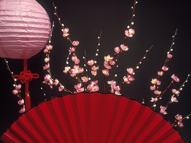 red hand fan, fan, chinese lantern, fabric, HD wallpaper