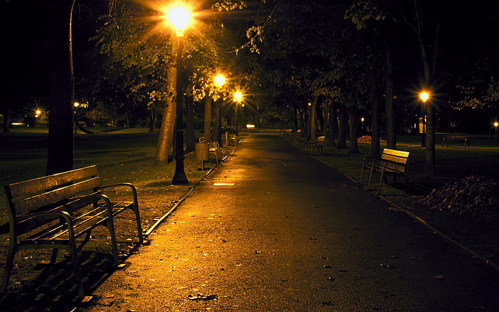 brown bench, city, night, park, benches, HD wallpaper