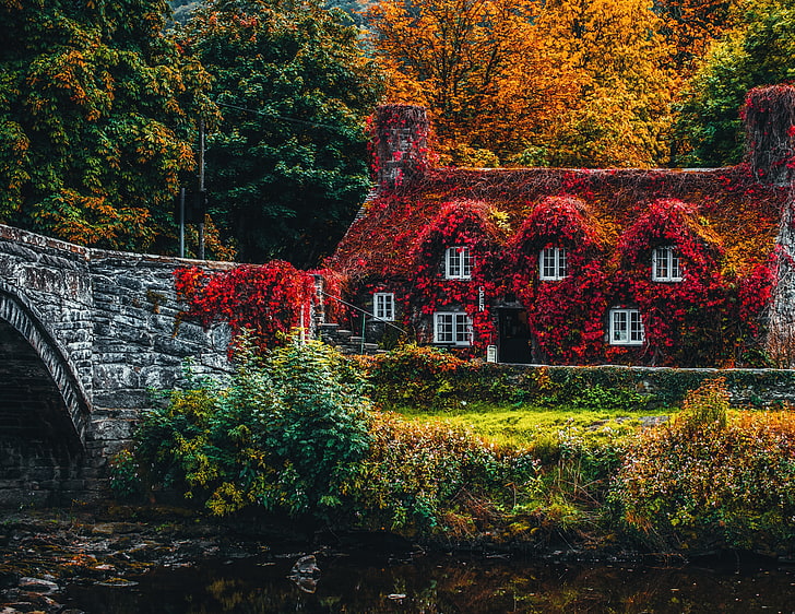 casa, otoño, río, follaje, colores otoñales, Fondo de pantalla HD