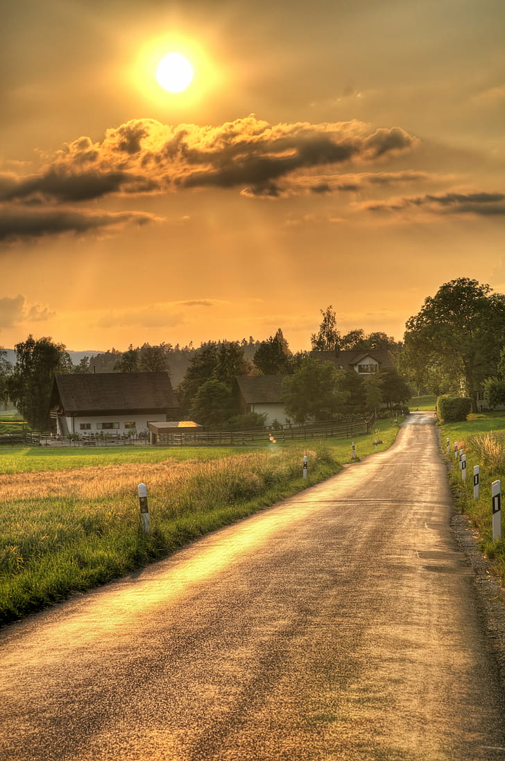 yellow sun photography, sunset road, sunset road, Sunset road, yellow sun, photography, straight, farm, hdr, photomatix, nikon  d300, view, landscape, orange, tones, gradient, clouds, grass, fields, village, houses, zürich, switzerland, rays, BRAVO, Paths, rural Scene, agriculture, nature, field, outdoors, sunset, road, summer, sky, tree, non-Urban Scene, meadow, landscaped, HD wallpaper