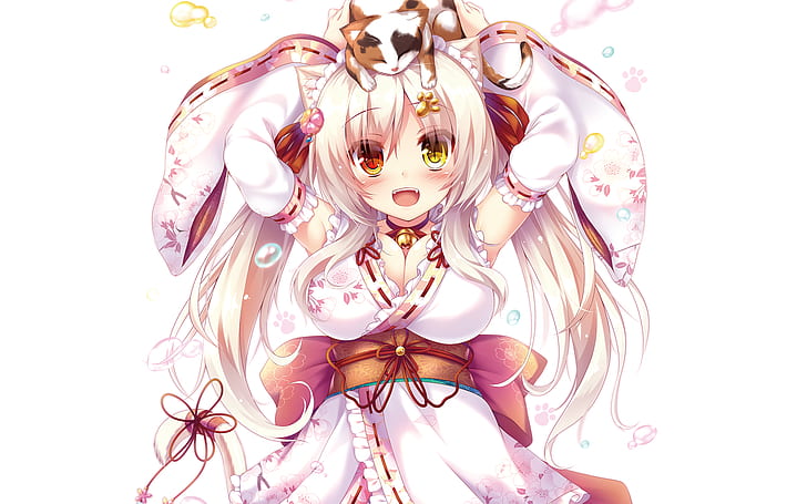 yukata, kucing, rambut putih, Wallpaper HD