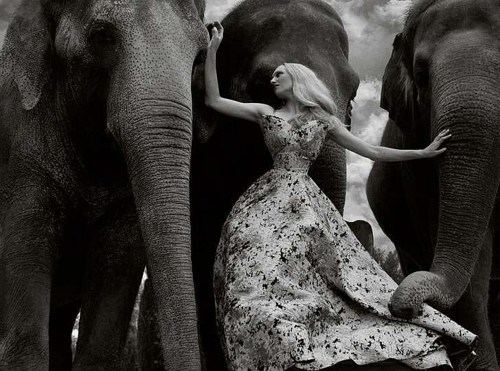 Female Model, Elephants Animals, Black and White, Black and White, Girl, Beautiful, People, Wild, Woman, Designer, Young, Amazing, Elephants, Animals, Model, Fashion, Collection, Wonderful, Elegant, fantastic, Dress, Lovely, Outfit, Fabulous, Clothing, glamorous, blackandwhite, clothes, extraordinary, formal, FloorLength, loveanimals, HD wallpaper
