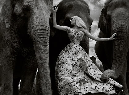Female Model, Elephants Animals, Black and White, Black and White, Girl, Beautiful, People, Wild, Woman, Designer, Young, Amazing, Elephants, Animals, Model, Fashion, Collection, Wonderful, Elegant, fantastic, Dress, Lovely, Outfit, Fabulous, Clothing, glamorous, blackandwhite, clothes, extraordinary, formal, FloorLength, loveanimals, HD wallpaper HD wallpaper