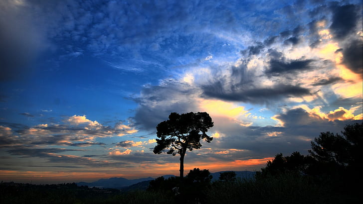 自然、風景、雲、日没、木、 HDデスクトップの壁紙