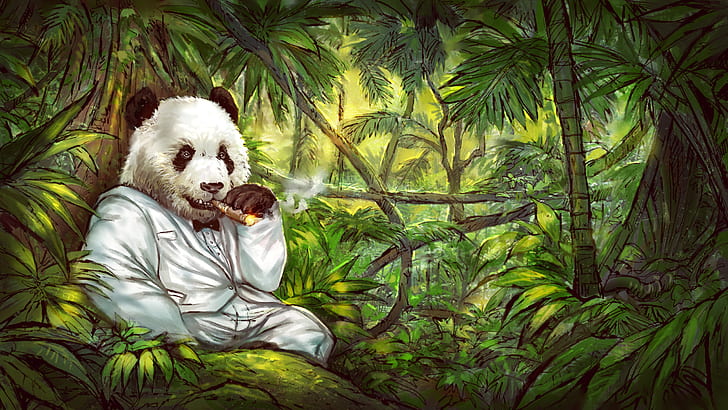 panda jungles cigars tuxedo, HD wallpaper
