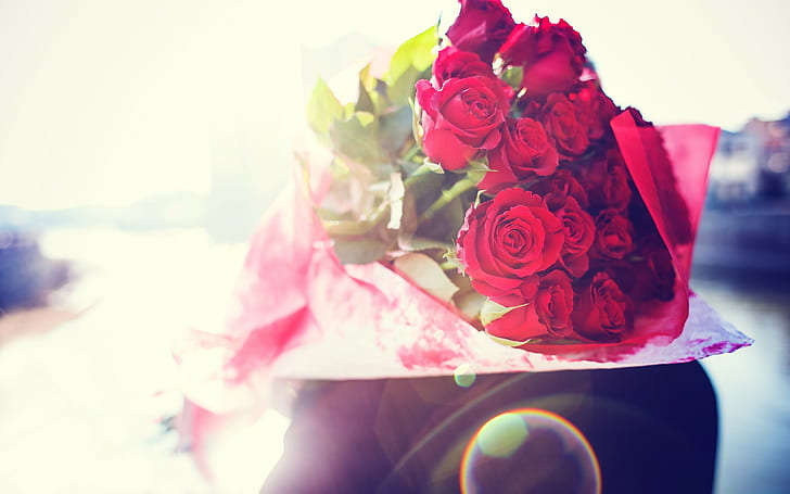 fiori, rosa, bouquet, riflesso lente, morbido, Sfondo HD