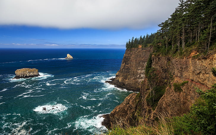 Costa de Oregon, penhasco marrom, rochas, praia, floresta, costa, oceano, costa de Oregon, HD papel de parede