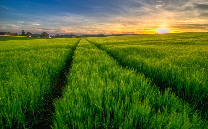 Agriculture HD wallpapers free download | Wallpaperbetter