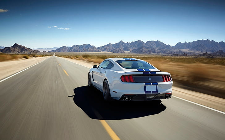 2015 Ford Shelby GT350 Mustang 2 Car HD, 2015, ford, gt350, mustang, shelby, Wallpaper HD