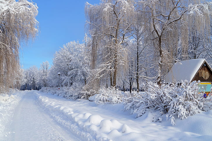 หิมะฤดูหนาว, วอลล์เปเปอร์ HD