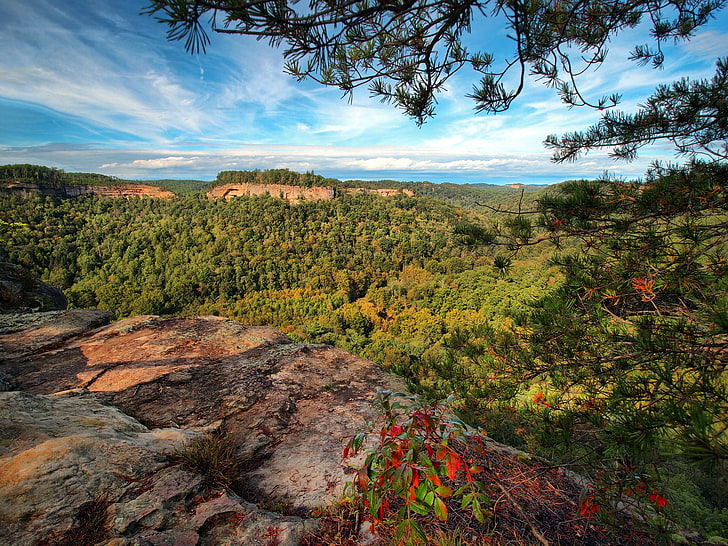 forest, mountains, branches, panorama, gorge, Kentucky, Slade, Chimney Top Rock, Red River Gorge, Daniel Boone National Forest, National forest Daniel Boone, gorge Red river, HD wallpaper