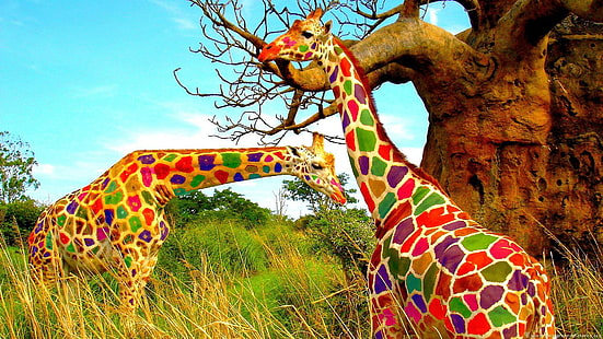 Arte de jirafas coloridas, otro arte, colorido, jirafas, Fondo de pantalla HD HD wallpaper