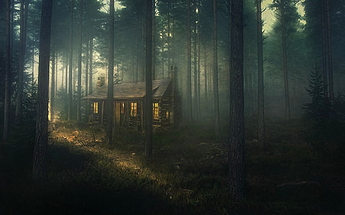 природа, пейзаж, лес, туман, трава, закат, деревья, атмосфера, живопись, дом, HD обои HD wallpaper