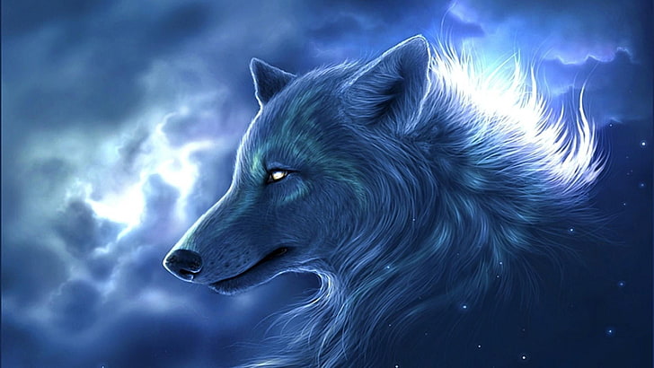 wolf, imagination, stars, cloud, HD wallpaper