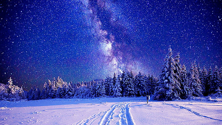 ทางช้างเผือก, ฤดูหนาว, ท้องฟ้า, ดวงดาว, คืนที่เต็มไปด้วยดวงดาว, เต็มไปด้วยดวงดาว, เต็มไปด้วยหิมะ, ป่า, ท้องฟ้ายามค่ำคืน, กลางคืน, วอลล์เปเปอร์ HD