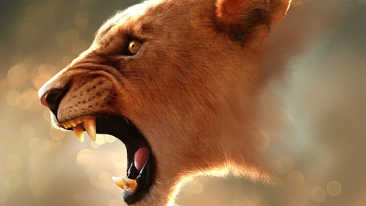 สิงโตผู้ใหญ่สิงโตสัตว์ศิลปะดิจิตอลแมวใหญ่, วอลล์เปเปอร์ HD