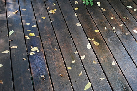 parquet de madera marrón, mañana, pisos, lluvia, hojas, otoño, Fondo de pantalla HD HD wallpaper