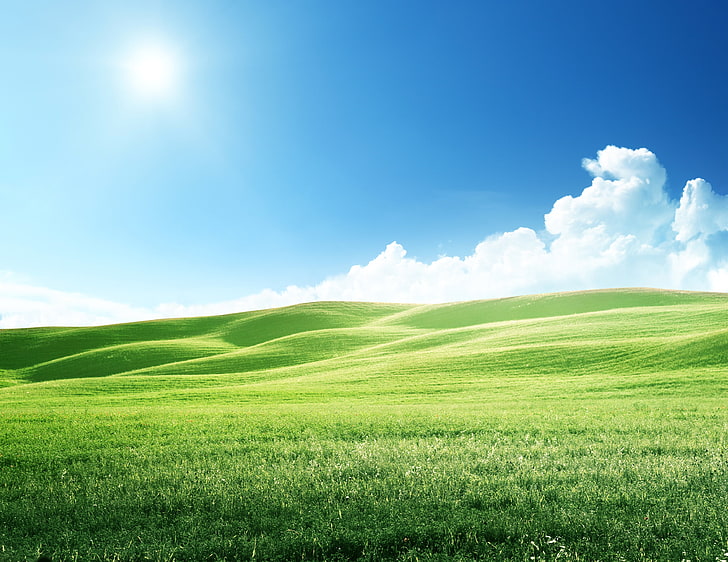 Green grass field under blue sky at daytime, The sky, Nature, Meadows,  Hills, HD wallpaper | Wallpaperbetter