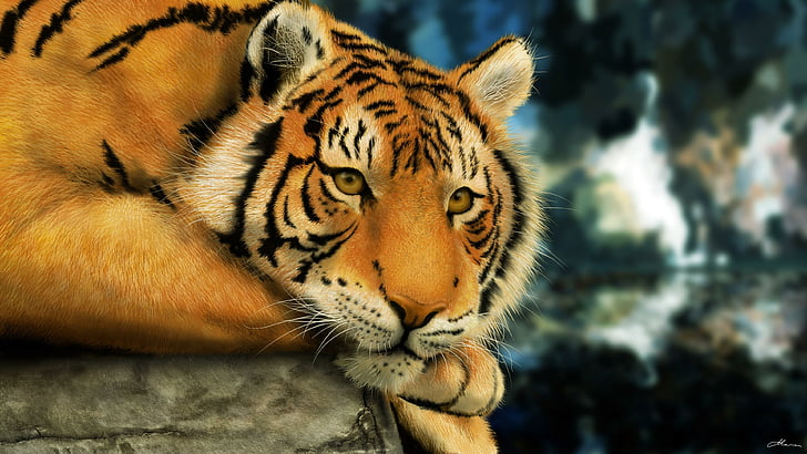tiger, wild animal, wild cat, wildlife, wild, big cat, predator, cat, stripes, zoo, animals, HD wallpaper