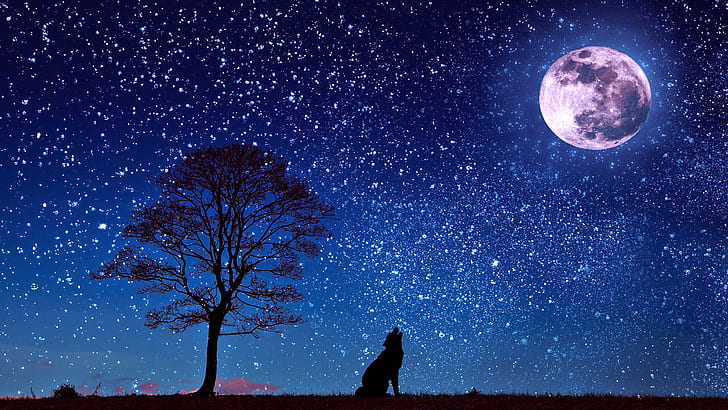 full moon, silhouette, wolf howling, howling, wolf, moonlight, moon, stars, starry night, night sky, HD wallpaper