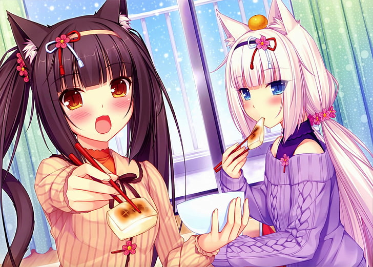 Chocolat (Neko Para), Anime-Mädchen, Neko Works, Tierohren, Neko Para, Vanille (Neko Para), Anime, Tofu, HD-Hintergrundbild