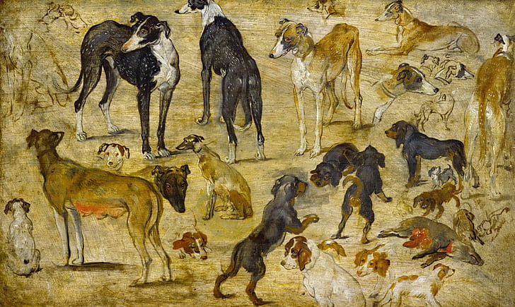 animals, picture, Jan Brueghel the elder, Sketches Of Dogs, HD wallpaper