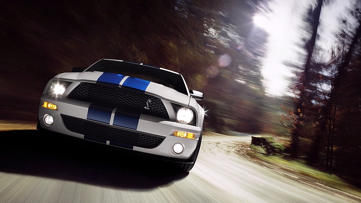 biało-niebieski Ford Mustang Cobra, Ford Mustang, muscle cars, Shelby, Tapety HD