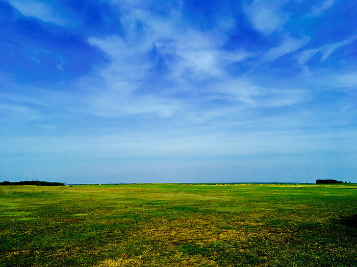 зеленая трава газон, поле, небо, трава, лето, HD обои