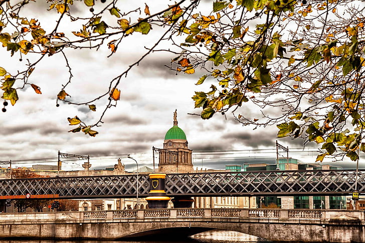Irlanda, Dublino, cupola verde e ponte in cemento beige, Irlanda, Dublino, autunno, rami, foglie, ponte, Sfondo HD