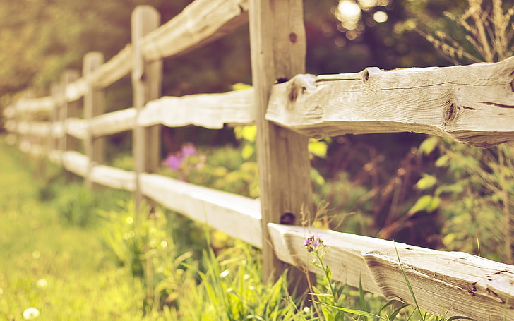 кафява дървена ограда, ограда, дъски, трева, ограда, HD тапет