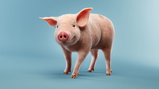 schwein, lächeln, darstellung, kinder, schwein, luis ramos, HD-Hintergrundbild HD wallpaper