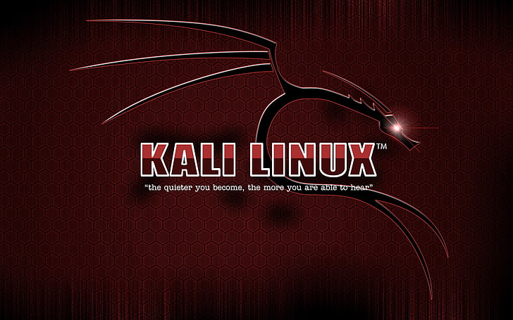 Kali Linux、Linux、 HDデスクトップの壁紙