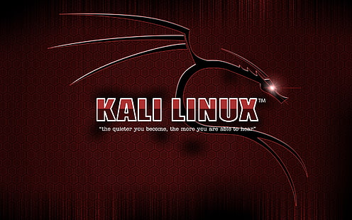 Kali Linux, Linux, HD wallpaper HD wallpaper