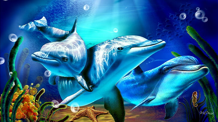 delfín, Fondo de pantalla HD