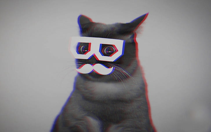 입체 3D, 수염, Skifcha, 고양이, HD 배경 화면