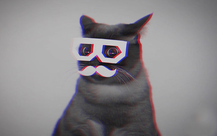 Gri kedi, kedi, bıyık, anaglif 3D, Skifcha, HD masaüstü duvar kağıdı