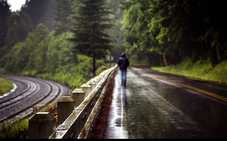 selective focus photography of man, alone, blurred, trees, railway, tracks, road, HD wallpaper